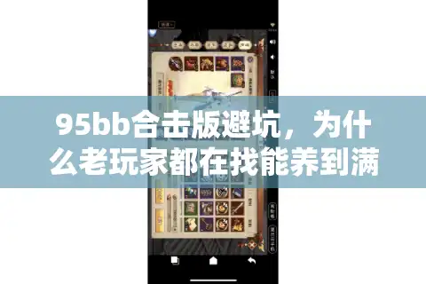 95bb合击版避坑，为什么老玩家都在找能养到满阶的私服？