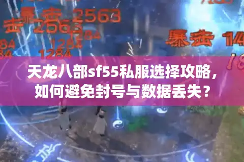 天龙八部sf55私服选择攻略，如何避免封号与数据丢失？