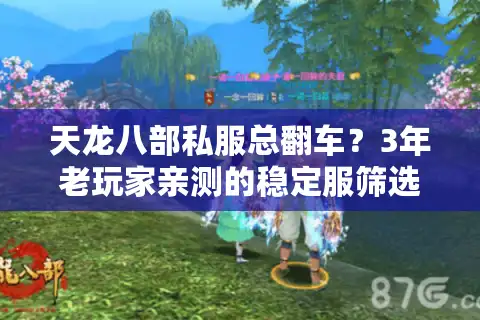 天龙八部私服总翻车？3年老玩家亲测的稳定服筛选逻辑，看完少走90%弯路