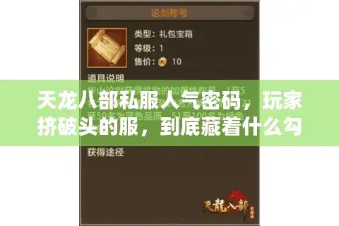 天龙八部私服人气密码，玩家挤破头的服，到底藏着什么勾魂术？