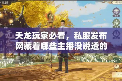天龙玩家必看，私服发布网藏着哪些主播没说透的版本选坑技巧？