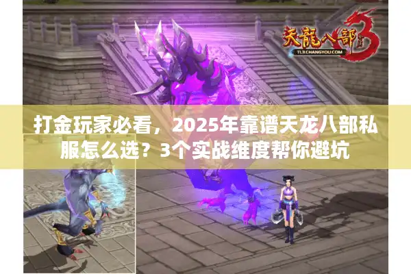 打金玩家必看，2025年靠谱天龙八部私服怎么选？3个实战维度帮你避坑