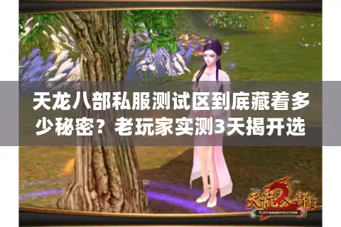 天龙八部私服测试区到底藏着多少秘密？老玩家实测3天揭开选服避坑真相