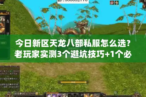 今日新区天龙八部私服怎么选？老玩家实测3个避坑技巧+1个必进服推荐