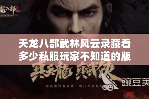 天龙八部武林风云录藏着多少私服玩家不知道的版本密码？