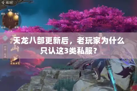 天龙八部更新后，老玩家为什么只认这3类私服？