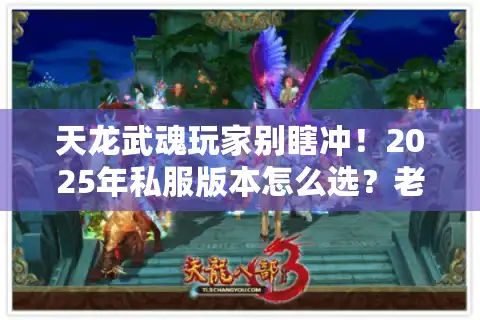 天龙武魂玩家别瞎冲！2025年私服版本怎么选？老炮儿的实战避坑清单