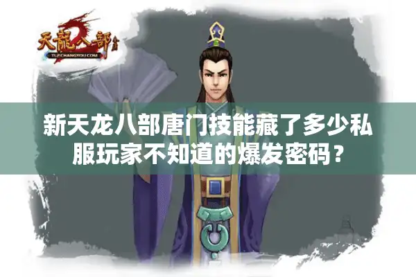 新天龙八部唐门技能藏了多少私服玩家不知道的爆发密码？
