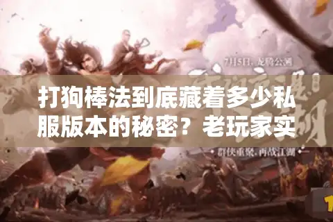 打狗棒法到底藏着多少私服版本的秘密?老玩家实测3款冷门服的玩法差异 打狗棒法到底藏着多少私服版本的秘密?老玩家实测3款冷门服的玩法差异