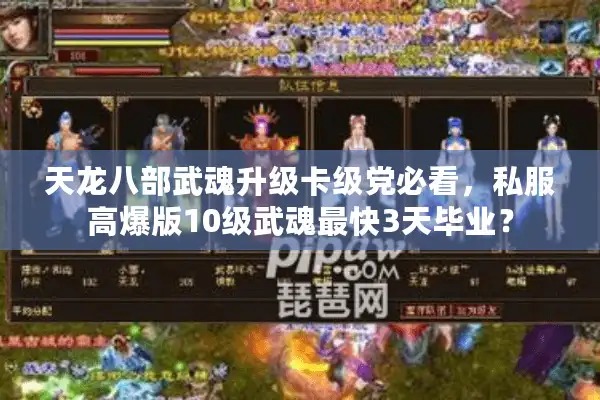 天龙八部武魂升级卡级党必看，私服高爆版10级武魂最快3天毕业？