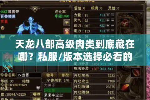 天龙八部高级肉类到底藏在哪？私服/版本选择必看的刷肉、换资源全攻略