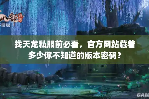 找天龙私服前必看，官方网站藏着多少你不知道的版本密码？