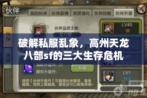 破解私服乱象，高州天龙八部sf的三大生存危机