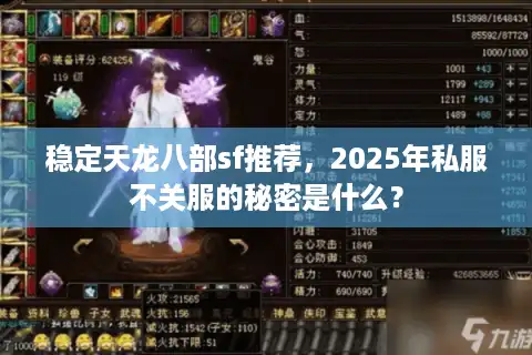 稳定天龙八部sf推荐，2025年私服不关服的秘密是什么？