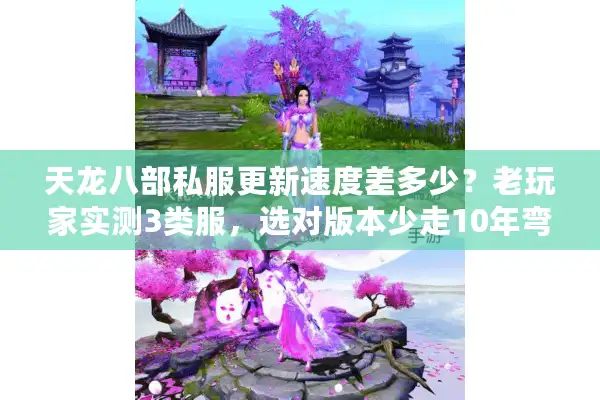 天龙八部私服更新速度差多少？老玩家实测3类服，选对版本少走10年弯路