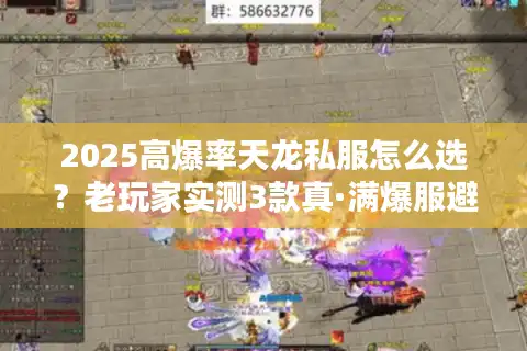 2025高爆率天龙私服怎么选？老玩家实测3款真·满爆服避坑指南