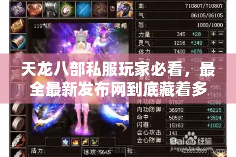 天龙八部私服玩家必看，最全最新发布网到底藏着多少你不知道的版本密码？