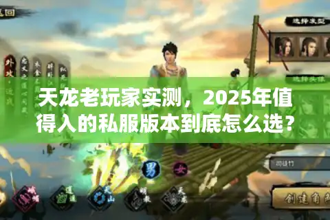 天龙老玩家实测，2025年值得入的私服版本到底怎么选？避坑+攻略全在这