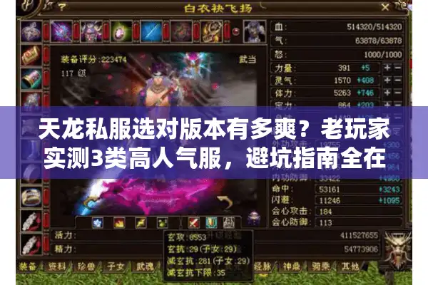 天龙私服选对版本有多爽？老玩家实测3类高人气服，避坑指南全在这