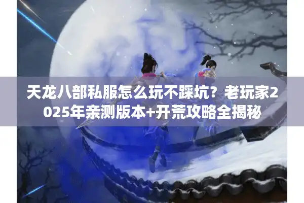 天龙八部私服怎么玩不踩坑？老玩家2025年亲测版本+开荒攻略全揭秘
