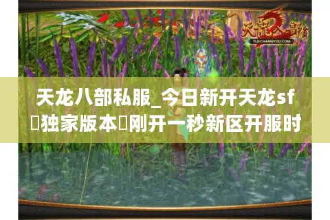 天龙八部私服_今日新开天龙sf▷独家版本◁刚开一秒新区开服时间表大全