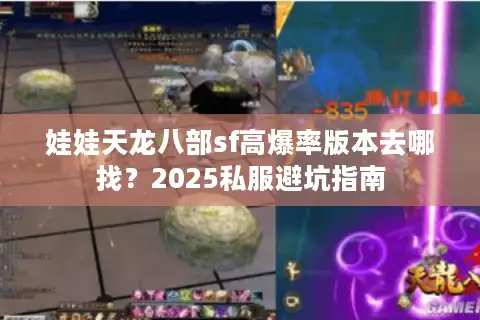 娃娃天龙八部sf高爆率版本去哪找？2025私服避坑指南