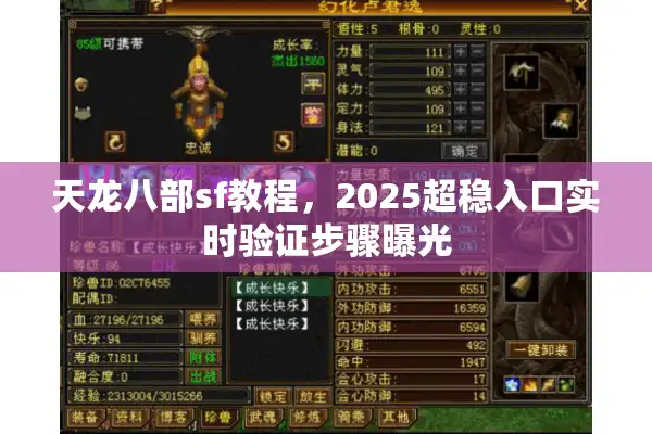 天龙八部sf教程，2025超稳入口实时验证步骤曝光