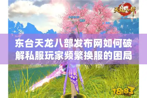 东台天龙八部发布网如何破解私服玩家频繁换服的困局？