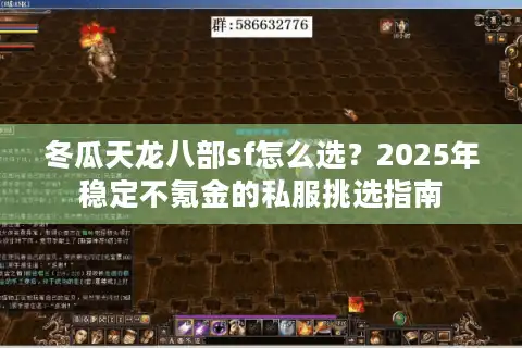 冬瓜天龙八部sf怎么选？2025年稳定不氪金的私服挑选指南