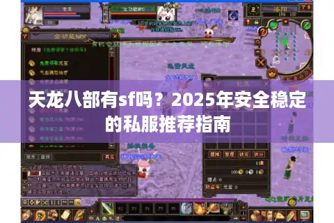 天龙八部有sf吗？2025年安全稳定的私服推荐指南