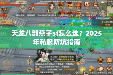天龙八部燕子sf怎么选？2025年私服防坑指南