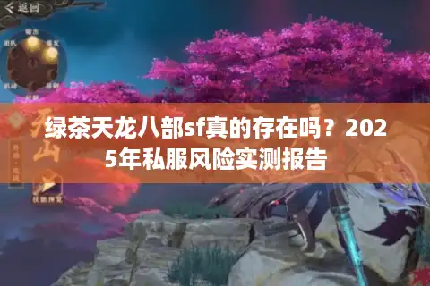 绿茶天龙八部sf真的存在吗？2025年私服风险实测报告