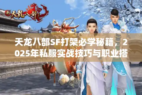 天龙八部SF打架必学秘籍，2025年私服实战技巧与职业搭配攻略