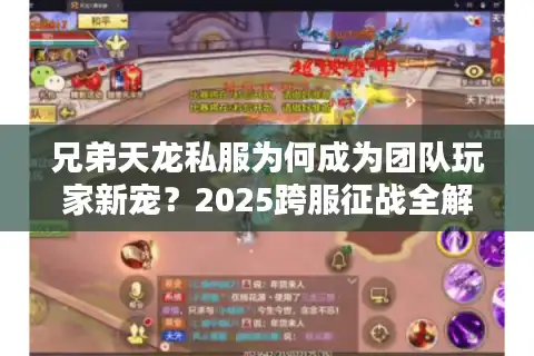 兄弟天龙私服为何成为团队玩家新宠？2025跨服征战全解析