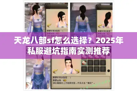 天龙八部sf怎么选择？2025年私服避坑指南实测推荐