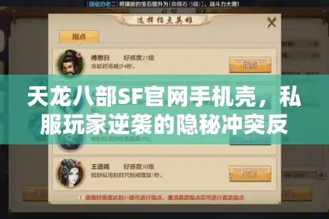 天龙八部SF官网手机壳，私服玩家逆袭的隐秘冲突反转