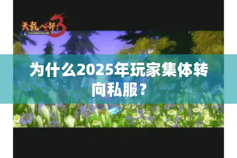 为什么2025年玩家集体转向私服？