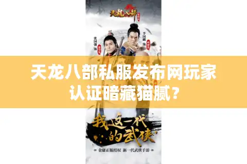 天龙八部私服发布网玩家认证暗藏猫腻？