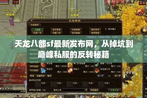 天龙八部sf最新发布网，从掉坑到巅峰私服的反转秘籍