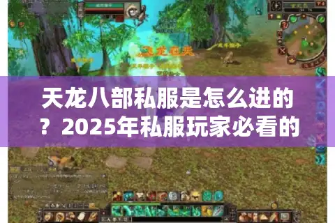 天龙八部私服是怎么进的？2025年私服玩家必看的安全进服教程