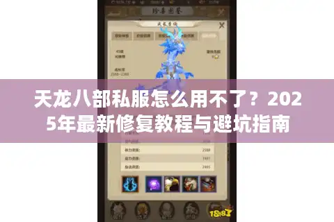 天龙八部私服怎么用不了？2025年最新修复教程与避坑指南