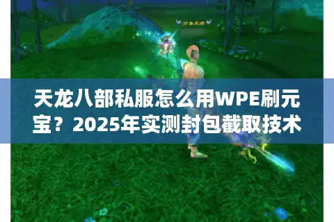 天龙八部私服怎么用WPE刷元宝？2025年实测封包截取技术指南