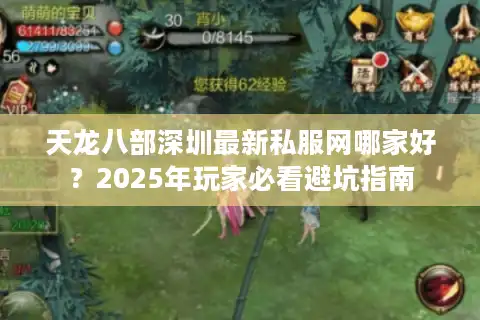 天龙八部深圳最新私服网哪家好？2025年玩家必看避坑指南