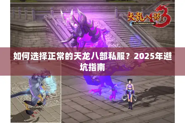 如何选择正常的天龙八部私服？2025年避坑指南