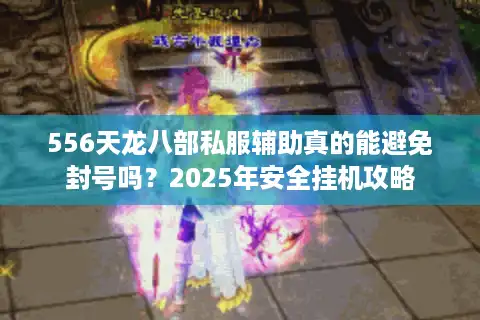 556天龙八部私服辅助真的能避免封号吗？2025年安全挂机攻略