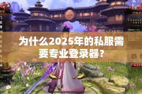 为什么2025年的私服需要专业登录器？