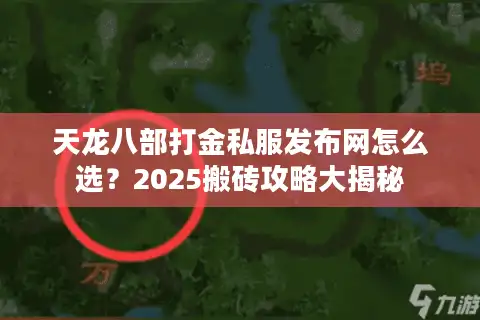 天龙八部打金私服发布网怎么选？2025搬砖攻略大揭秘