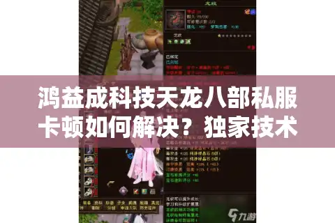 鸿益成科技天龙八部私服卡顿如何解决？独家技术方案实测解析