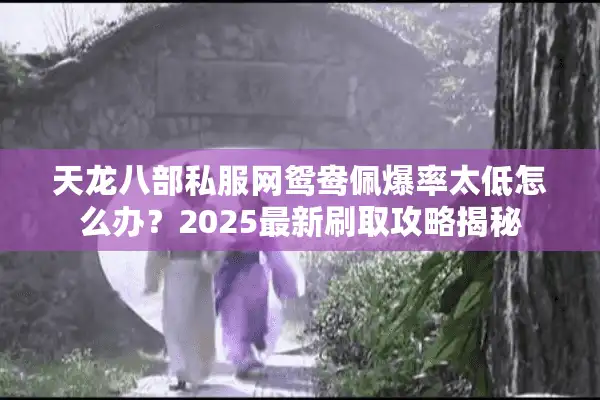 天龙八部私服网鸳鸯佩爆率太低怎么办？2025最新刷取攻略揭秘