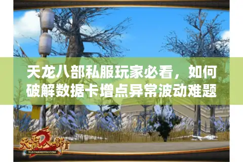 天龙八部私服玩家必看，如何破解数据卡增点异常波动难题？